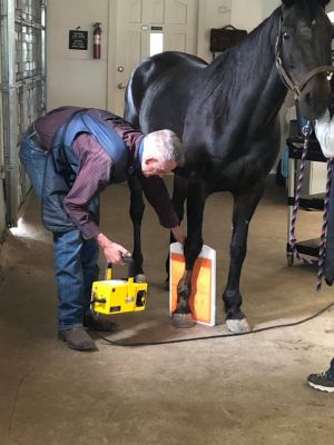 62567096 2347898571923668 3830914517961801728 n