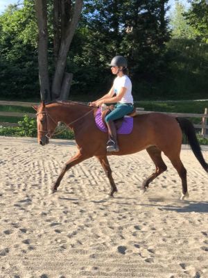 64501001 2342529589127233 2957538896914677760 n