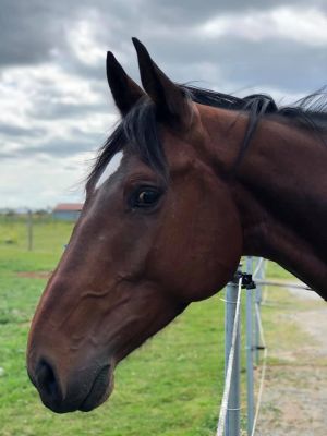 64845228 2363988133648045 8834812633417777152 n