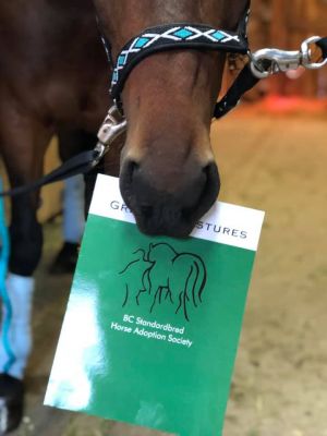 64943724 2357628154284043 3075505886005821440 n