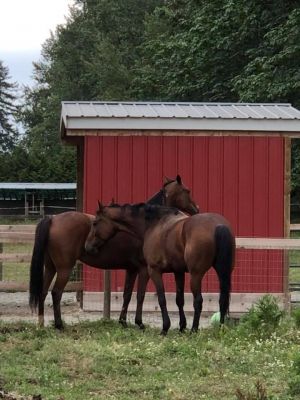 65031504 2363739227006269 1052265295302885376 n